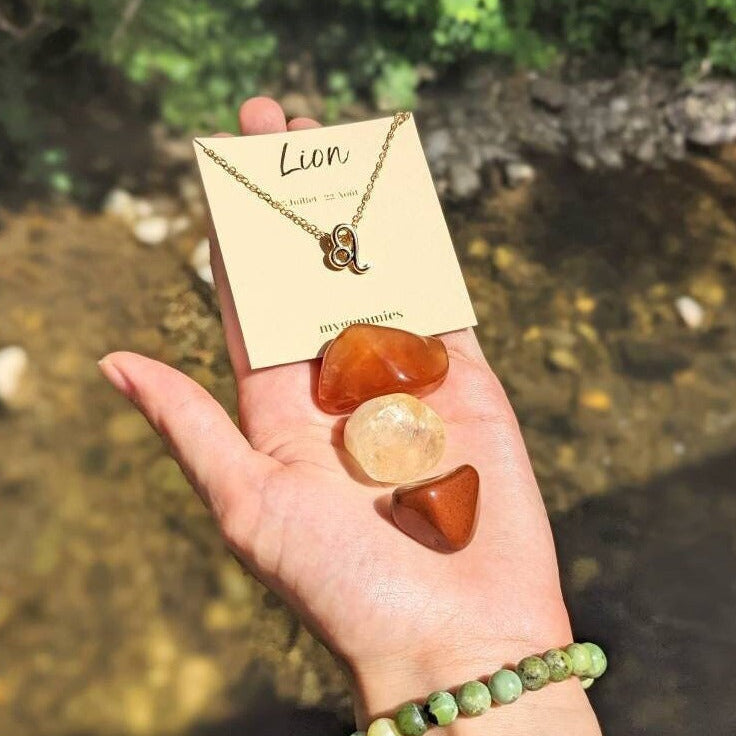 signe astrologie lion