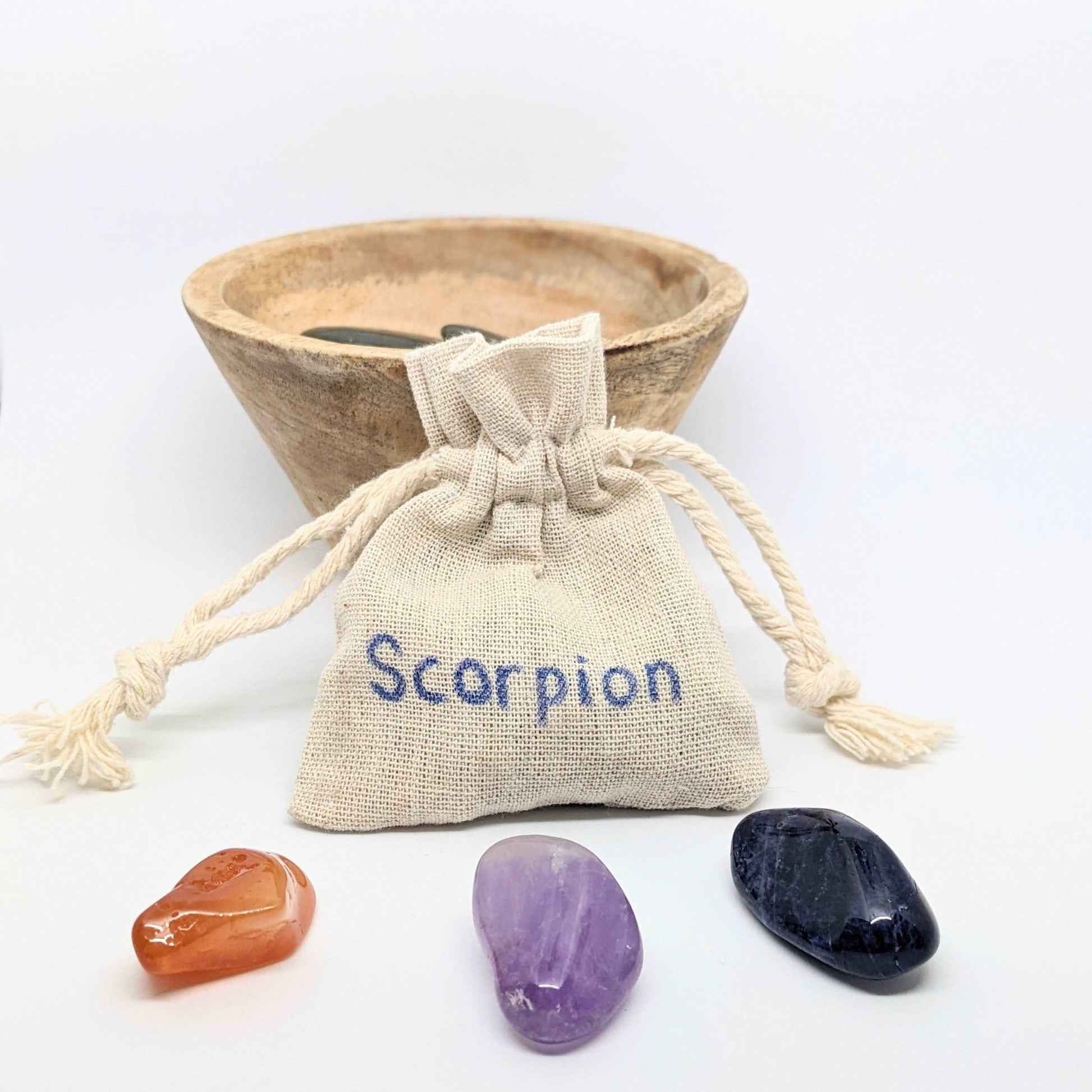 Scorpion signe astrologique